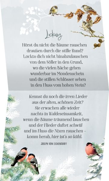 Produktbild: Zauberhafte Weihnachtszeit, Coffee-Table-Adventskal.(Bastin)