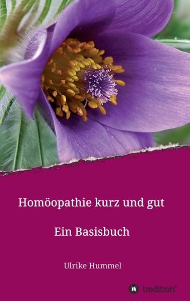 Produktbild: Hom&ouml;opathie kurz und gut