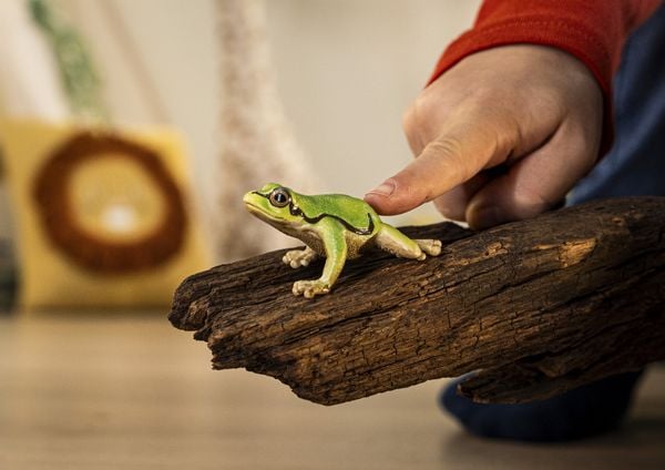 Produktbild: schleich&reg; Wild Life Europ&auml;ischer Laubfrosch