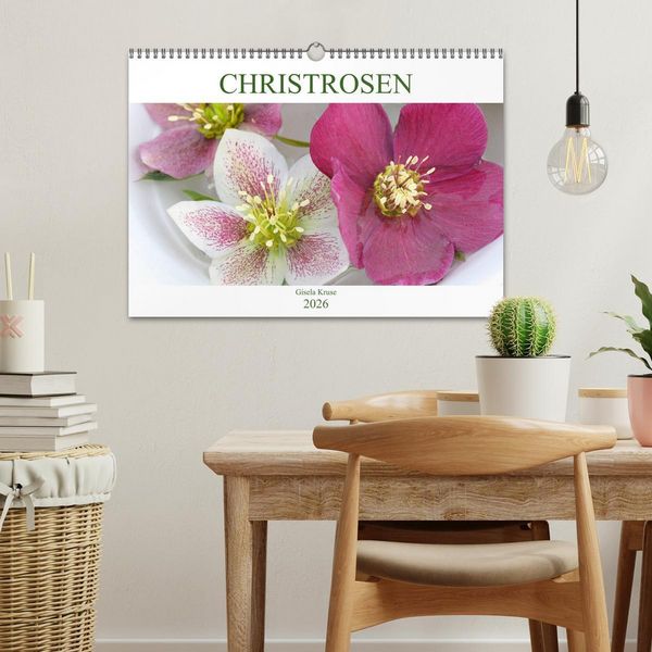 Produktbild: Christrosen (Wandkalender 2026 DIN A3 quer), CALVENDO Monatskalender