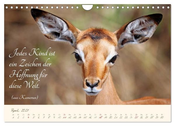 Produktbild: AFRIKA mit einem Hauch von Poesie (Wandkalender 2027 DIN A4 quer), CALVENDO Monatskalender
