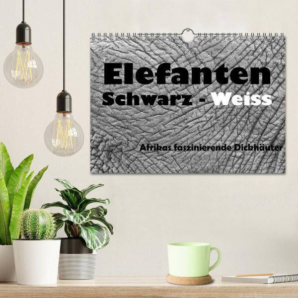Produktbild: Elefanten Schwarz - Weiss (Wandkalender 2026 DIN A4 quer), CALVENDO Monatskalender