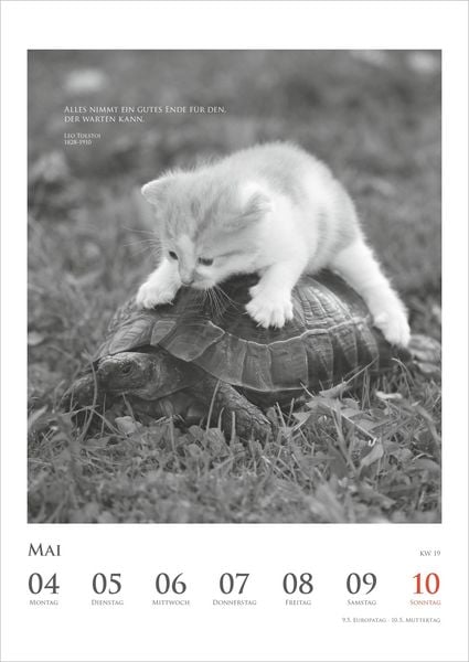 Produktbild: Der poetische Katzenkalender 2027