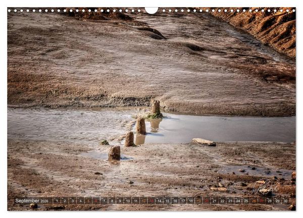 Produktbild: Friesland - Watt und Nordsee / CH-Version (Wandkalender 2026 DIN A3 quer), CALVENDO Monatskalender
