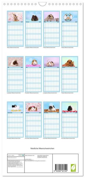 Produktbild: Familienplaner 2027 - Niedliche Meerschweinchen mit 5 Spalten (Wandkalender, 21 x 45 cm) CALVENDO