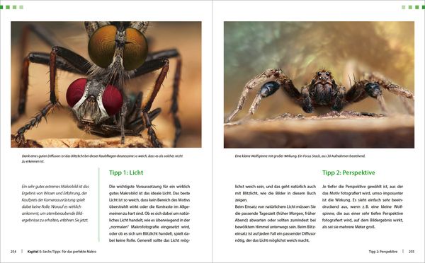 Produktbild: Extreme Wildlife-Makrofotografie