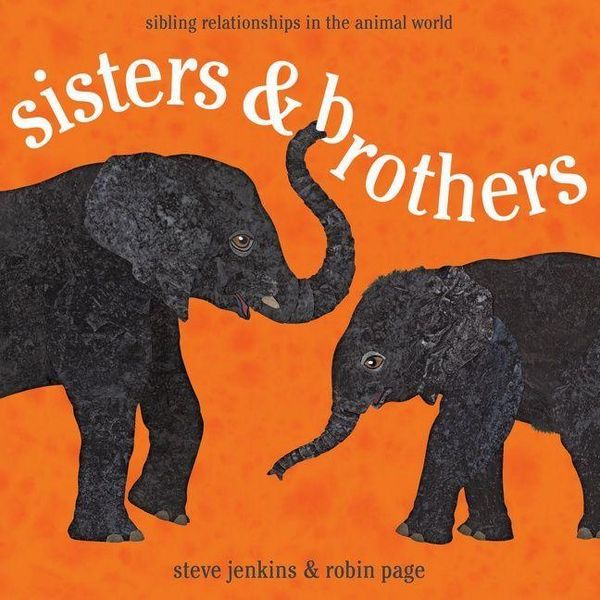 Produktbild: Sisters & Brothers