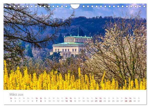 Produktbild: Buntes Essen 2026 (Wandkalender 2026 DIN A4 quer), CALVENDO Monatskalender