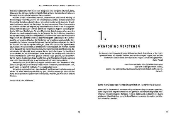 Produktbild: Mentoring - Das Praxisbuch