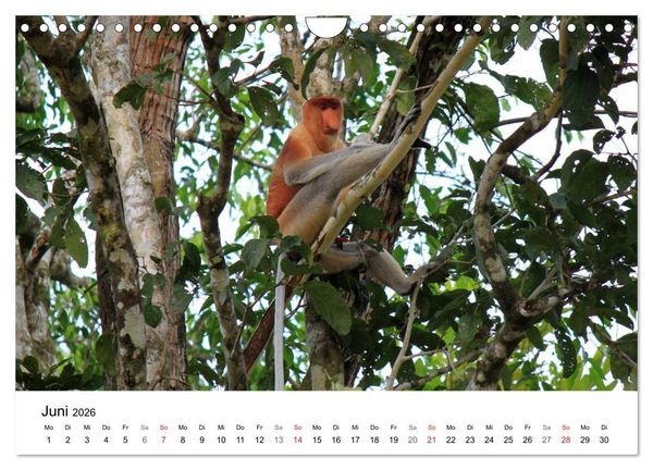 Produktbild: Highlights einer Weltreise (Wandkalender 2026 DIN A4 quer), CALVENDO Monatskalender