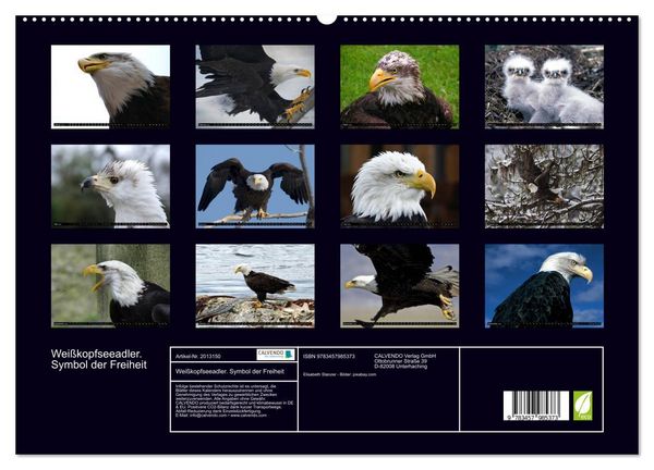Produktbild: Wei&szlig;kopfseeadler. Symbol der Freiheit (hochwertiger Premium Wandkalender 2026 DIN A2 quer), Kunstdruck in Hochglanz