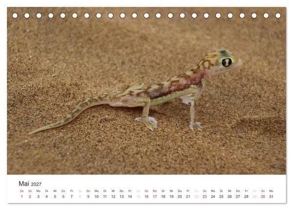 Produktbild: Namibia - Tierische Vielfalt (Tischkalender 2027 DIN A5 quer), CALVENDO Monatskalender
