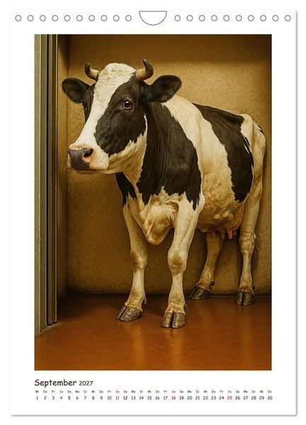 Produktbild: Wer f&auml;hrt denn da? Ein tierisches Paternoster Vergn&uuml;gen (Wandkalender 2027 DIN A4 hoch), CALVENDO Monatskalender