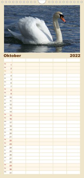 Produktbild: Das faszinierende Leben der Schw&auml;ne - Familienplaner hoch (Wandkalender 2022 , 21 cm x 45 cm, hoch)