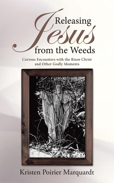 Produktbild: Releasing Jesus from the Weeds