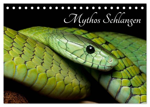 Produktbild: Mythos Schlangen (Tischkalender 2026 DIN A5 quer), CALVENDO Monatskalender