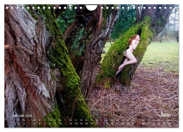 Produktbild: Lieblingsb&auml;ume - eins mit der Natur (Wandkalender 2026 DIN A4 quer), CALVENDO Monatskalender