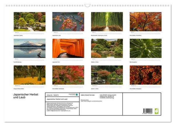 Produktbild: Japanischer Herbst und Laub (Wandkalender 2026 DIN A2 quer), CALVENDO Monatskalender
