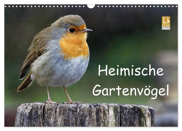 Produktbild: Heimische Gartenv&ouml;gel (Wandkalender 2026 DIN A3 quer), CALVENDO Monatskalender