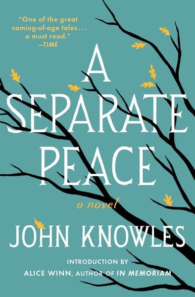 Produktbild: A Separate Peace