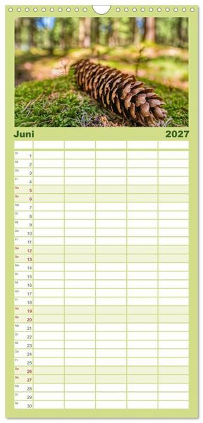 Produktbild: Familienplaner 2027 - Vielfalt am Waldboden mit 5 Spalten (Wandkalender, 21 x 45 cm) CALVENDO