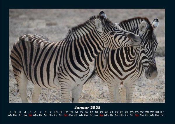 Produktbild: Zebrazauber 2025 Fotokalender DIN A4