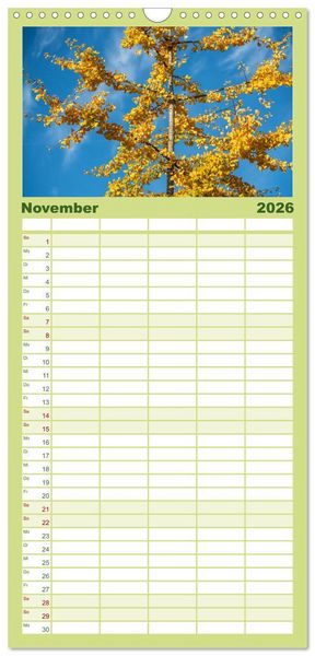 Produktbild: Familienplaner 2026 - Mit Ginkgo biloba durch das Jahr mit 5 Spalten (Wandkalender, 21 x 45 cm) CALVENDO
