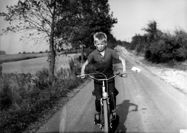 Produktbild: Die Reise nach Sundevit (DEFA Filmjuwelen)