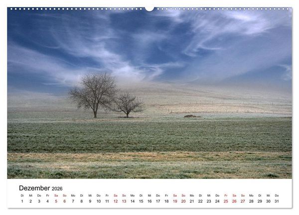 Produktbild: B&auml;ume - Wunder der Natur (hochwertiger Premium Wandkalender 2026 DIN A2 quer), Kunstdruck in Hochglanz