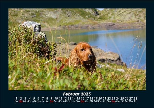 Produktbild: Landschaftskalender 2025 Fotokalender DIN A5