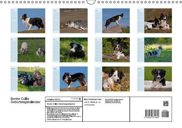 Produktbild: Der Border Collie Geburtstagskalender (Wandkalender immerw&auml;hrend DIN A3 quer)