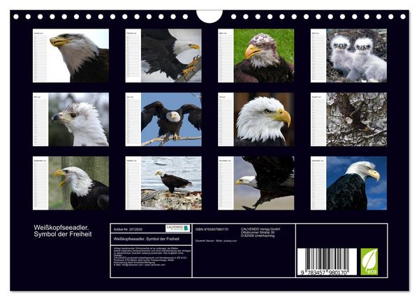 Produktbild: Wei&szlig;kopfseeadler. Symbol der Freiheit (Wandkalender 2026 DIN A4 quer), CALVENDO Monatskalender