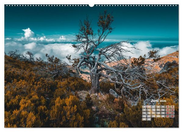 Produktbild: Trauminsel Madeira (hochwertiger Premium Wandkalender 2026 DIN A2 quer), Kunstdruck in Hochglanz