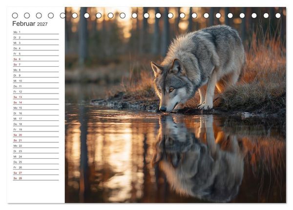 Produktbild: Die Seele der Wildnis (Tischkalender 2027 DIN A5 quer), CALVENDO Monatskalender