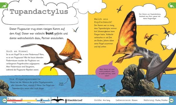 Wissen für Vorschulkids. Was weißt du über Dinos?