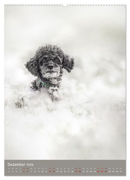 Produktbild: Flora Canidae - der Hunde-Bl&uuml;hpflanzen-Kalender (Wandkalender 2026 DIN A2 hoch), CALVENDO Monatskalender