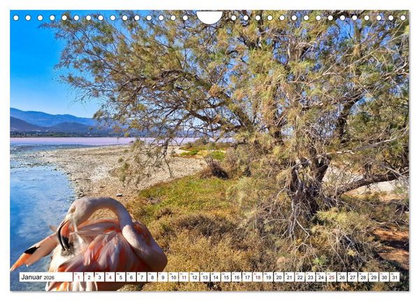 Produktbild: Kos - zauberhafte Insel des Dodekanes (Wandkalender 2026 DIN A4 quer), CALVENDO Monatskalender