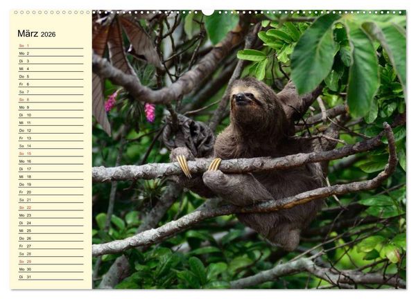 Produktbild: Brasilien. Faszinierend und gro&szlig; wie ein Kontinent (hochwertiger Premium Wandkalender 2026 DIN A2 quer), Kunstdruck in Hochglanz