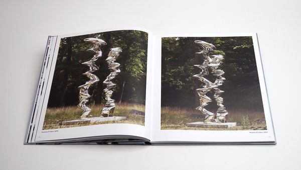 Produktbild: Tony Cragg: Points of View