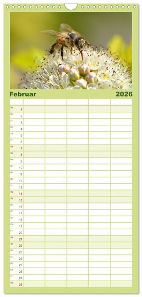 Produktbild: Familienplaner 2026 - Hummeln und Bienen mit 5 Spalten (Wandkalender, 21 x 45 cm) CALVENDO