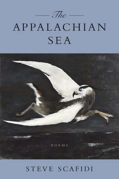 Produktbild: The Appalachian Sea