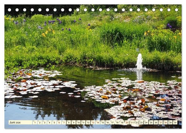 Produktbild: Der Hermannshof Das Parkjuwel in Weinheim an der Bergstra&szlig;e (Tischkalender 2026 DIN A5 quer), CALVENDO Monatskalender