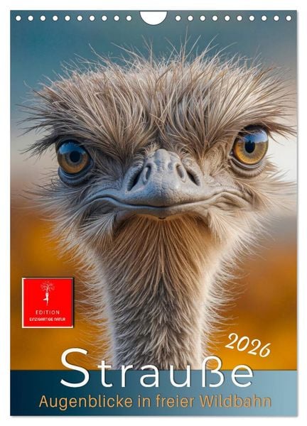Produktbild: Strau&szlig;e - Augenblicke in freier Wildbahn (Wandkalender 2026 DIN A4 hoch), CALVENDO Monatskalender