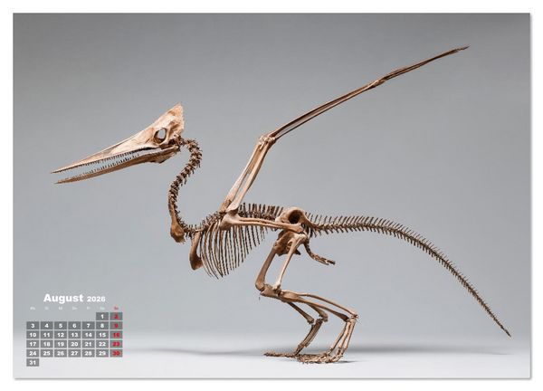 Produktbild: Knochen der Giganten - Dinosaurier im Portr&auml;t (Wandkalender 2026 DIN A2 quer), CALVENDO Monatskalender