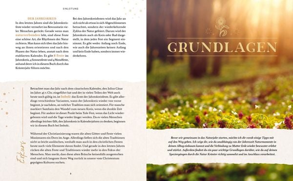 Produktbild: Zaubernuss und Waldmagie &ndash; Naturmomente f&uuml;r deine Seele