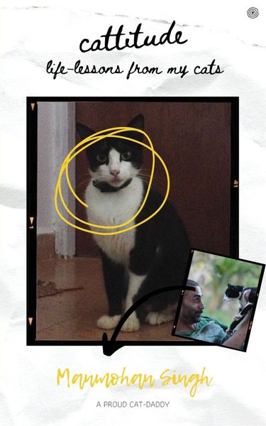 Produktbild: Cattitude