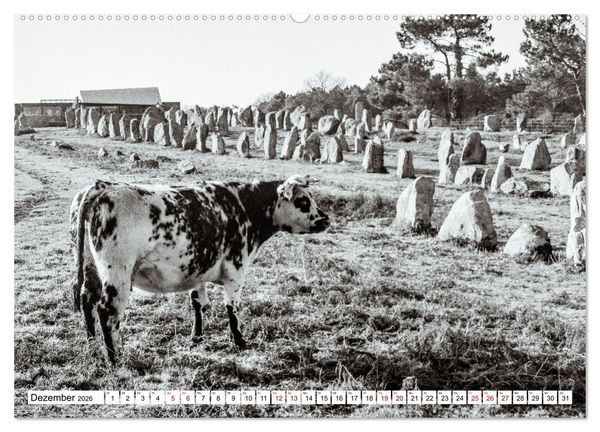 Produktbild: Bretagne Mythen und Steine (hochwertiger Premium Wandkalender 2026 DIN A2 quer), Kunstdruck in Hochglanz