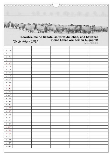Produktbild: ein Planer mit biblischer Weisheit aus den Spr&uuml;chen Salomos (Wandkalender 2026 DIN A3 hoch), CALVENDO Monatskalender