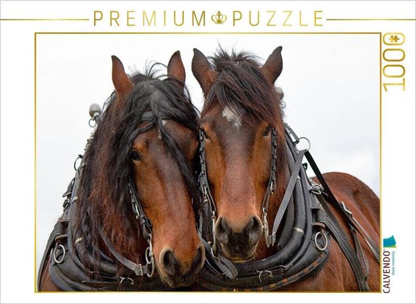 Produktbild: CALVENDO Puzzle Ein Motiv aus dem Kalender Zugpferde bei der Feldarbeit | 1000 Teile Lege-Gr&ouml;&szlig;e 64x48cm Foto-Puzzle f&uuml;r gl&uuml;ckliche Stunden