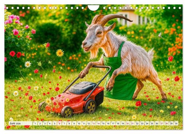 Produktbild: Tierische Redewendungen - Ein Kalender voller Spr&uuml;che und Sprachbilder (Wandkalender 2026 DIN A4 quer), CALVENDO Monatskalender